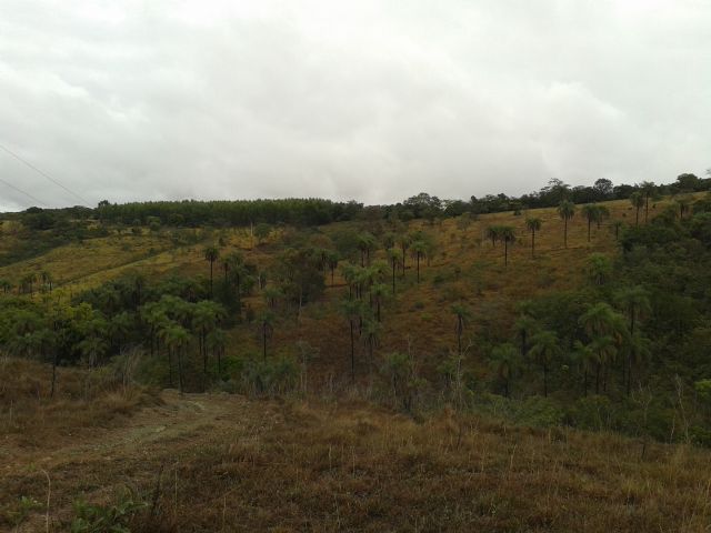 TROCO FAZENDA EM MINAS GERAIS POR AERONAVE - FAZENDA EM MG X AERONAVE