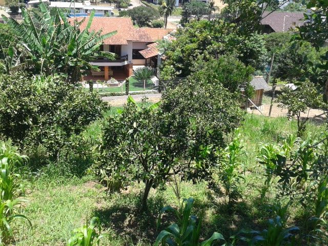 TROCO TERRENOS EM SANTO ANTONIO DA PATRULHA - TERRENOS X AERONAVE